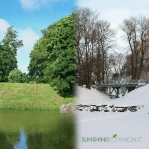 Winter to Summer Skin