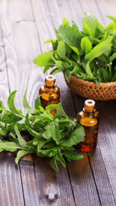 Peppermint Oil