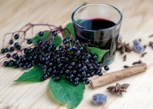 Elderberry 