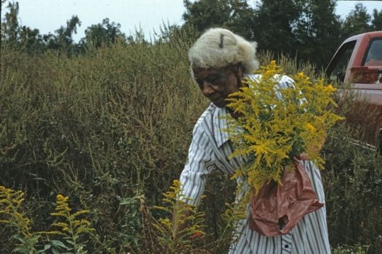 In Honor of Women and Herbal Medicine