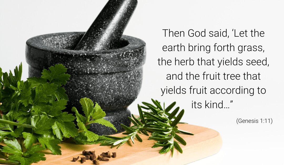 The Holy Trio of Redness-Zapping Herbs