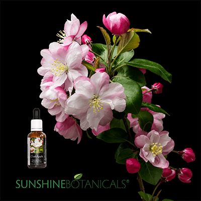 Crab Apple Flower Essences