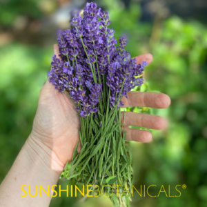 Lavender for the Lemonade Simple Syrup
