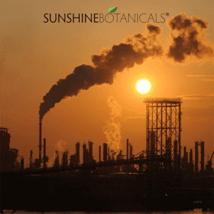 Environmental smog and how it effects your skin