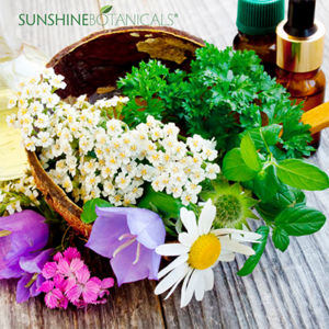 Attuning to the wax and wane of the seasonal calendar is essential, too, which means preparing in the spring to gather buds, leaves, and flowers, in the summer to collect seeds, and in the late fall or early winter to gather roots and rhizomes. 