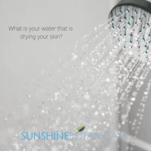 What's in your water? 