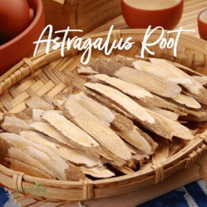 Astragalus Root