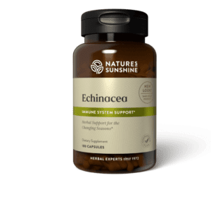 Echinacea