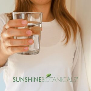 Stay Hydrated Water