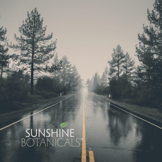 Rainy Days