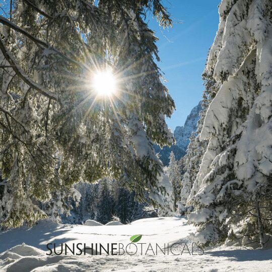 Winter UV rays