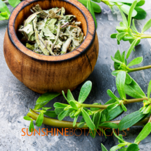 Benefits of Purslane Extract for Skin Purslane extract provides serious antioxidant benefits. It calms red, irritated skin, hydrates, plumps, and has strong anti-aging properties. It’s a natural superfood for the skin… it’s loaded with more omega fatty acids than fish oil and more vitamins than our healthiest veggies. It is an excellent source of skin-beneficial minerals like potassium, magnesium, calcium, and phosphorus.