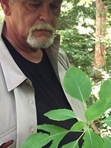 Boot Camp 5 jewelweed