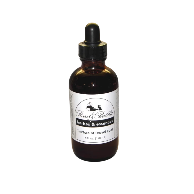 Teasel | Sunshine Botanicals