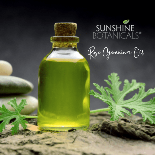 Rose Geranium Oil