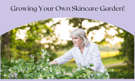 Growing Your Own Skincare Garden!