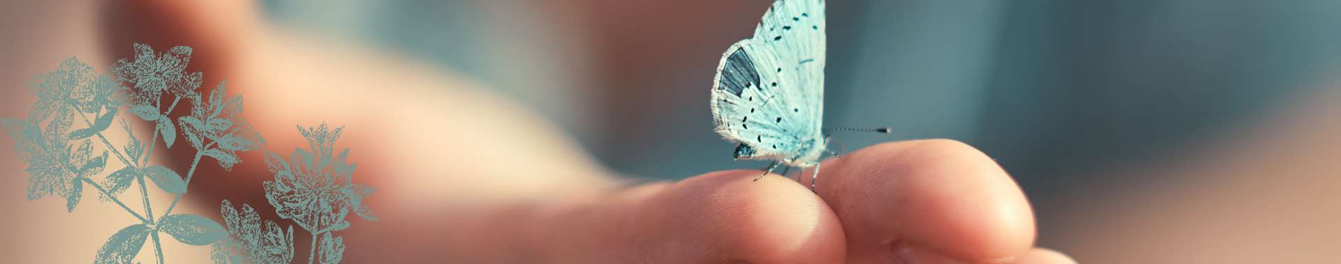 contact-header-image