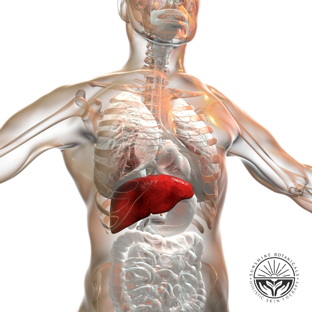 Liver Holistic Skin Care for Oncology Patients | The Liver