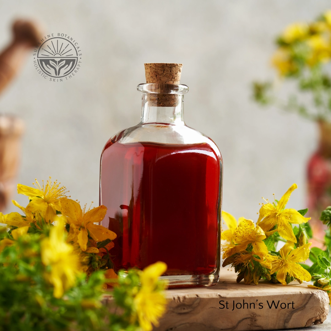 St John's Wort Replenish Vital Oils and Lipids | St John's Wort | Sunshine Botanicals